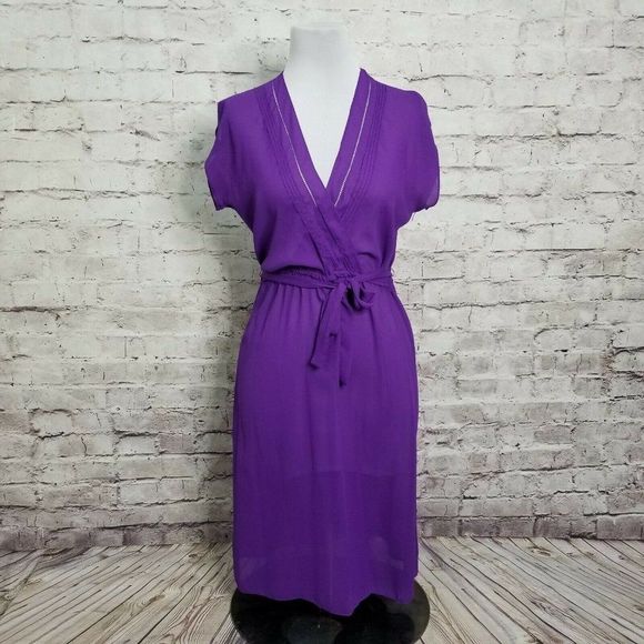 VTG Brasseur of California‎ Purple Sheer Nightgown - Picture 1 of 8